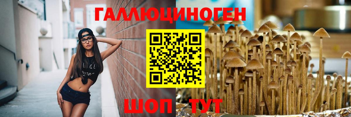 Семилуки  Псилоцибиновые грибы ЛСД  Вход с VPN  Галлюциногенные грибы мухоморы 